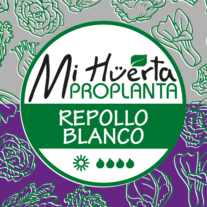 REP-BCO